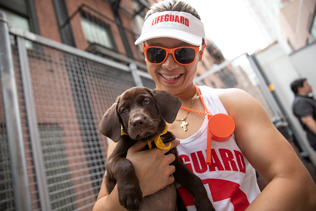 puppy being held by a life guard