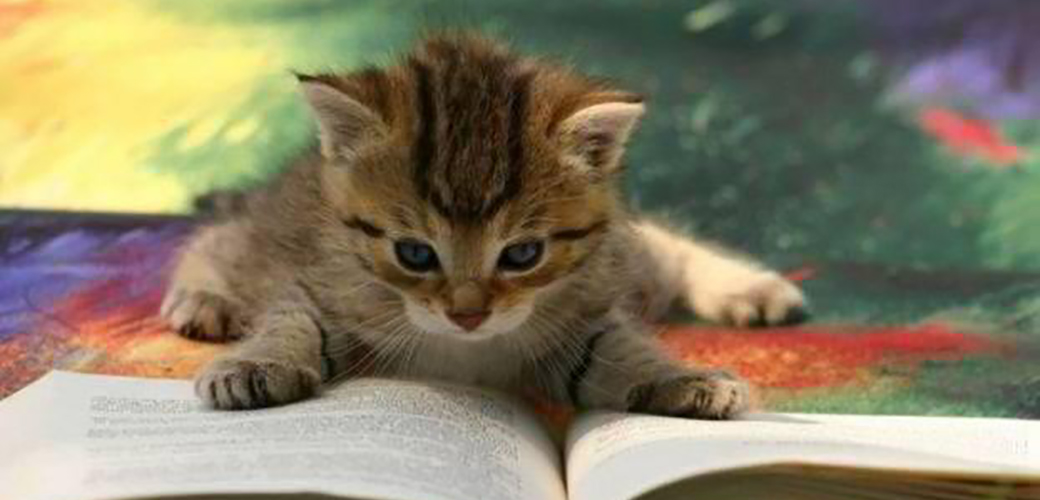 Read a Book to Benefit Yourself and a Furry Friend! | ASPCA