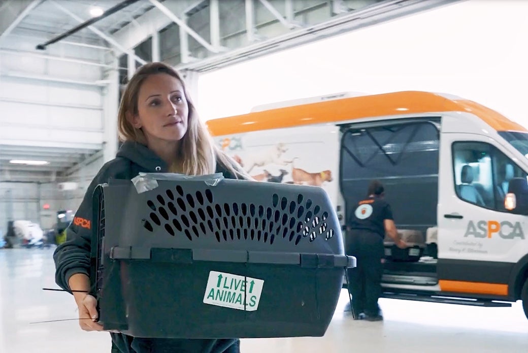 How Volunteers Help Power Animal Rescue | ASPCA
