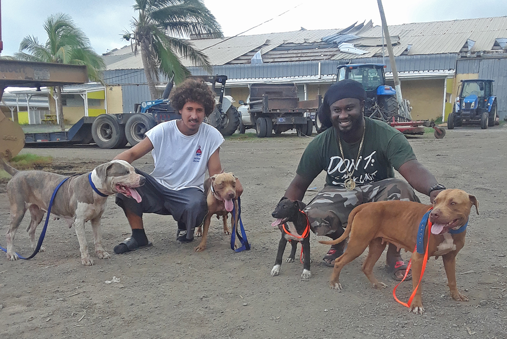 David Brewster and Emanuel Rodriguez with dogs Versace, Sheba, Eve, and Shishi