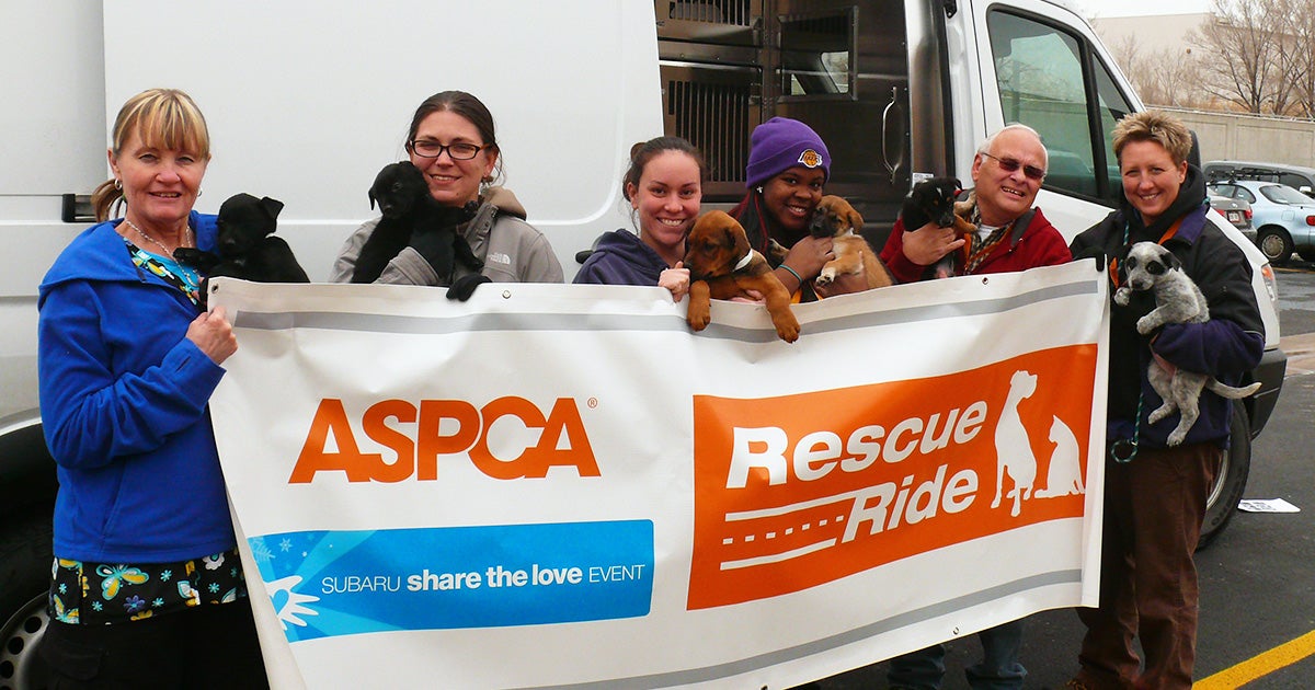Subaru Share the Love Event: Check out Pet Events This Weekend and All ...