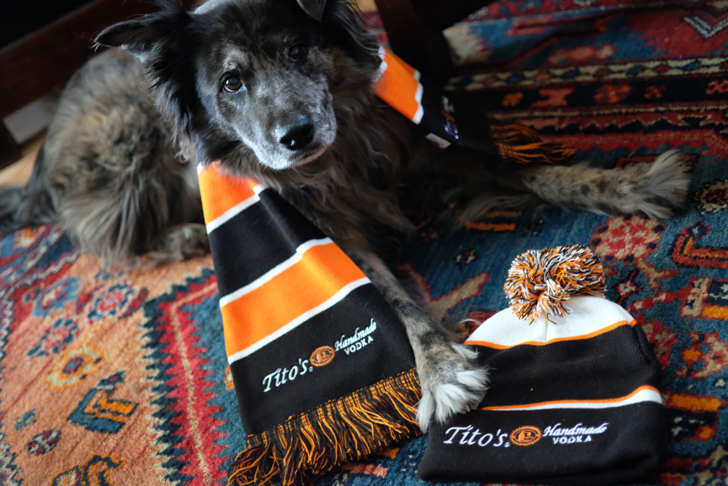 a dog with a Tito's vodka scarf and hat
