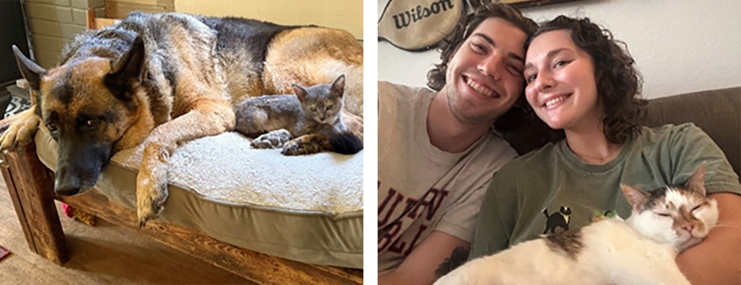Juniper resting with Mina in Mina's dog bed (left), Kashmere and family (right)