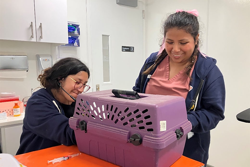 Dr. Cintron examines a shy cat in its carrier while Michelle assists.
