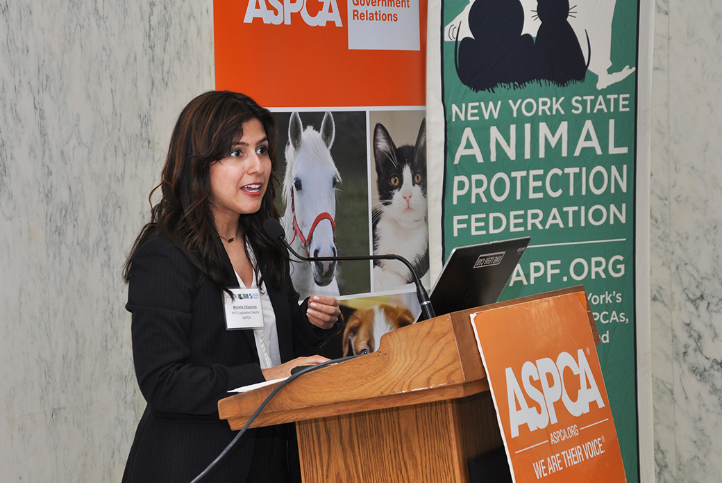 New York Animal Advocates, Lawmakers Gather in Albany for Voices for Animals  Day | ASPCA
