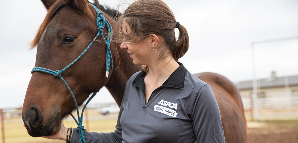 a woman with a small ponytail and a grey ASPCA branded shirt holding the face of a brown horse