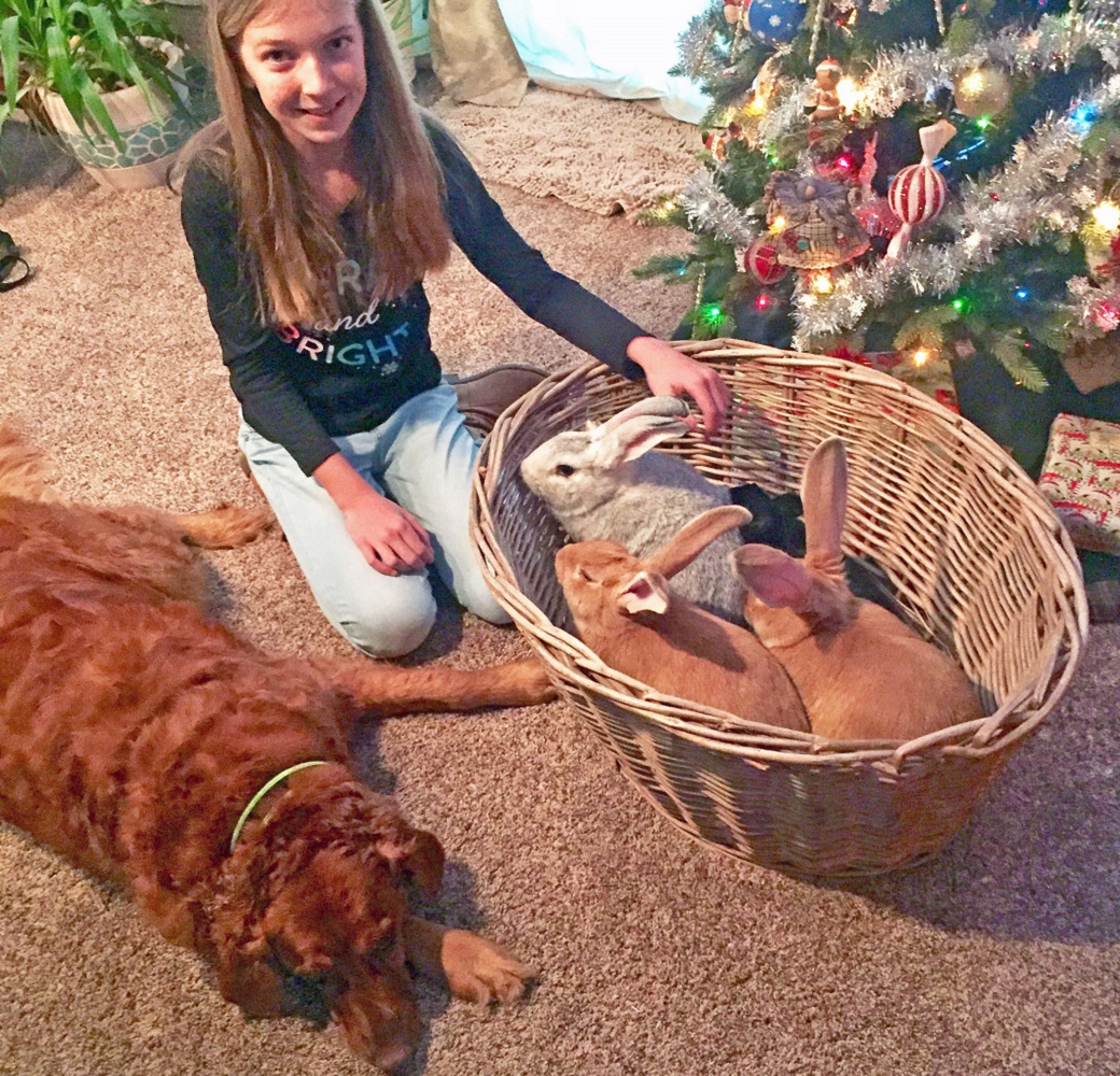 Hallie, her dog, and her bunnies