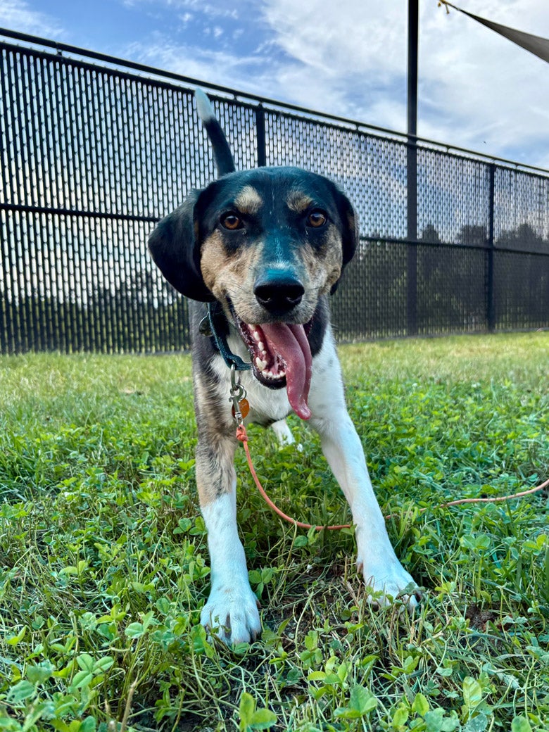 Pecan is ready to meet a new friend!