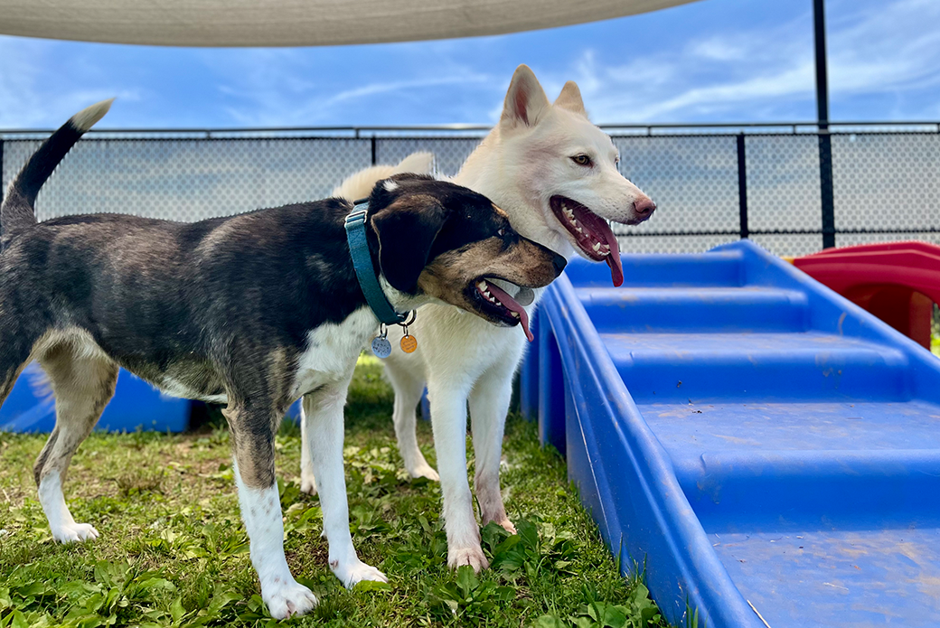 Kida and Pecan
