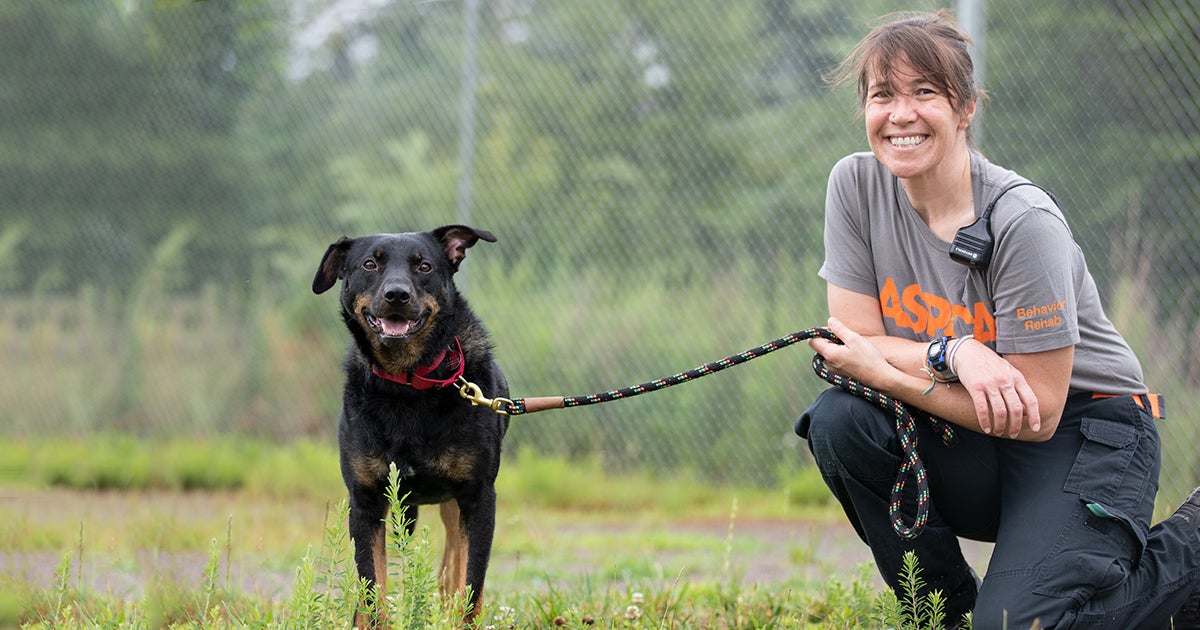 Foster for the Behavioral Rehabilitation Center l Volunteer l ASPCA