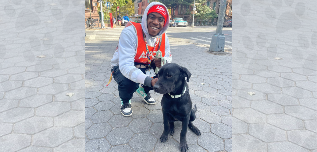 Fundraiser next to dog