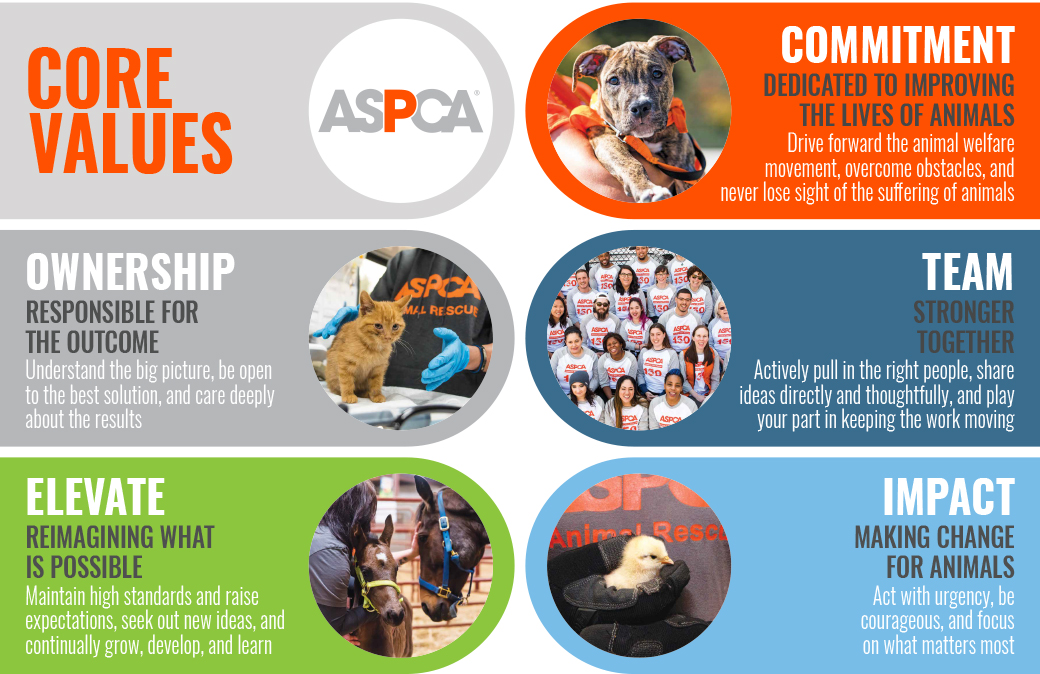 Careers: Jobs at the ASPCA | ASPCA