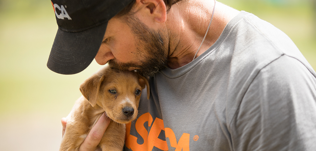 Careers: Jobs at the ASPCA | ASPCA