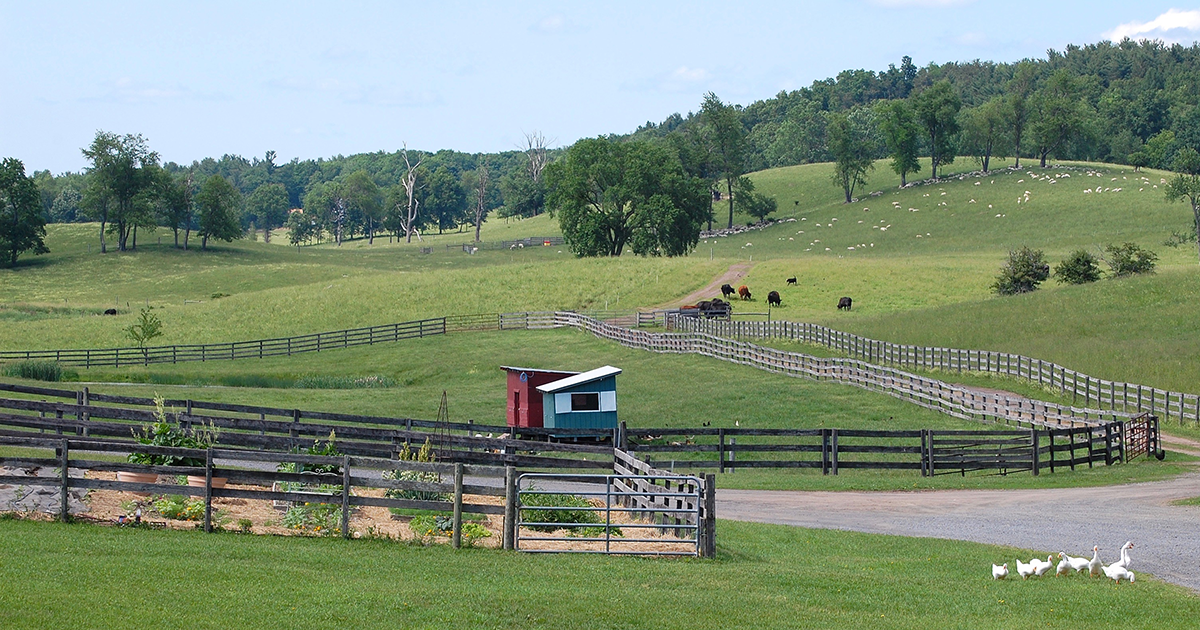 Kinderhook Farm l Animal Welfare Approved Farm l ASPCA