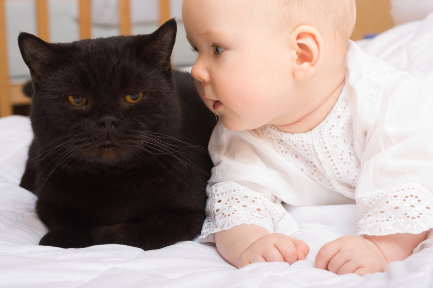 newborn and cats