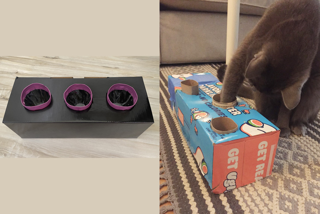 Feline Diy Enrichment Aspca - Diy Puzzle Box For Cats