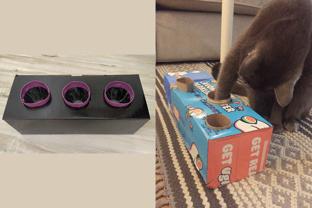 Cat Enrichment Project for Kids: DIY Treat Toy Puzzle