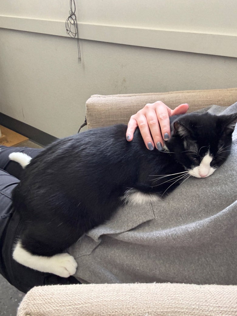 Hostas wants to be adopted!