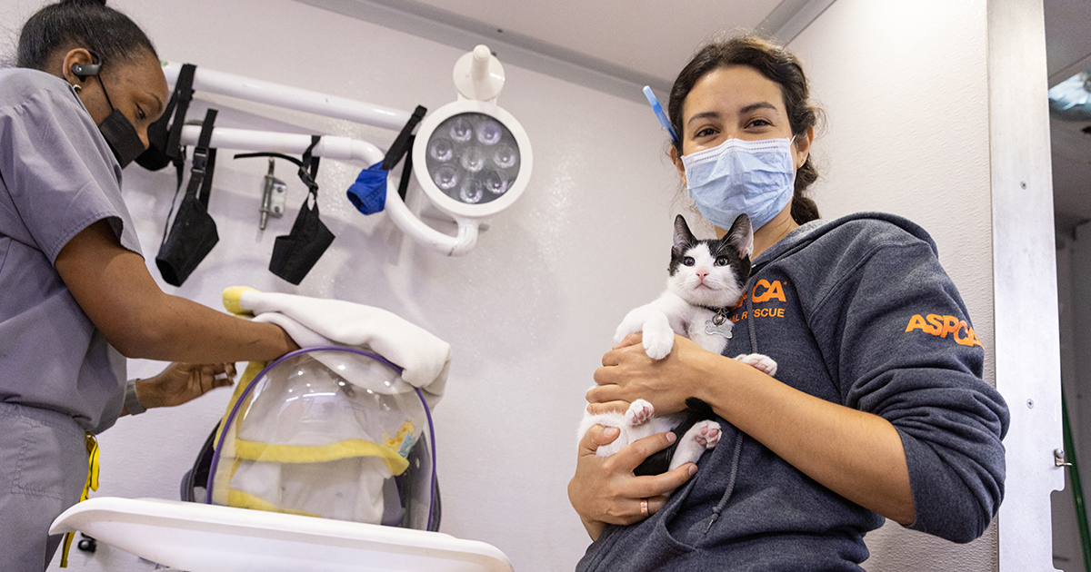 Flushing, NY - Animal Empire Veterinary Clinic - Vet Care