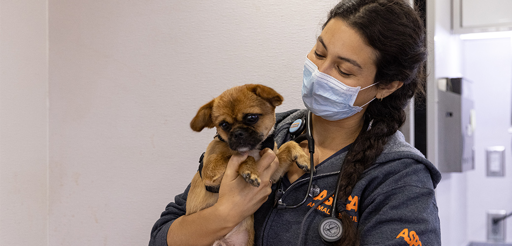 ASPCA Miami Community Veterinary Clinic | ASPCA
