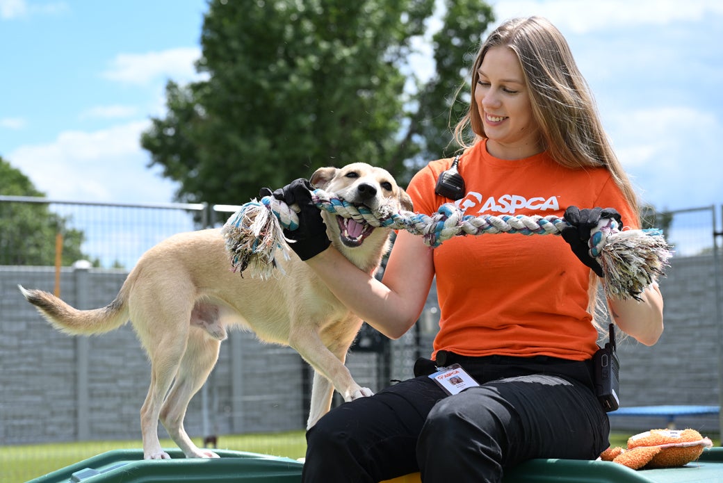 Diego playing tug with staff outside