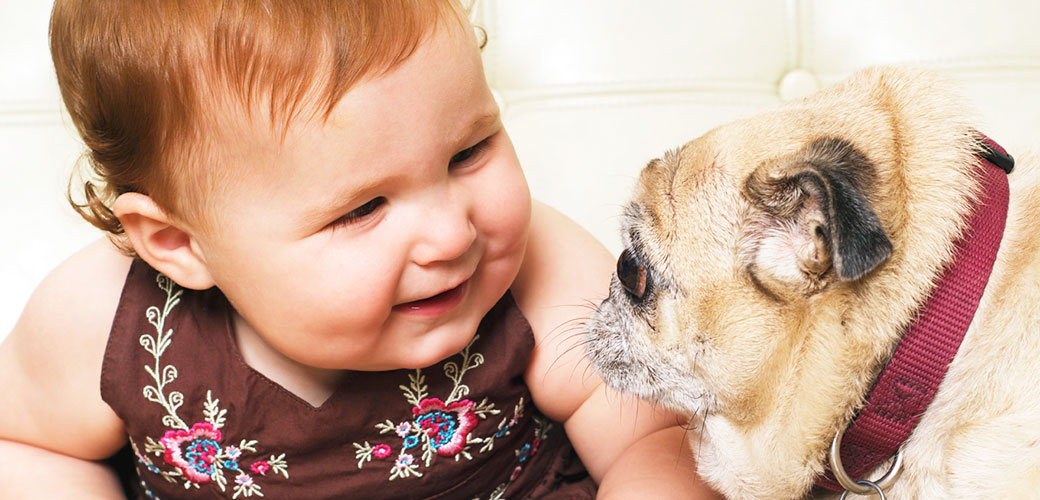 Dogs and Babies | ASPCA