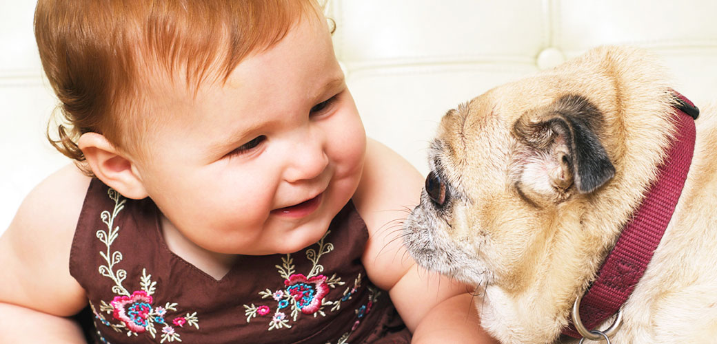 newborn baby and dog