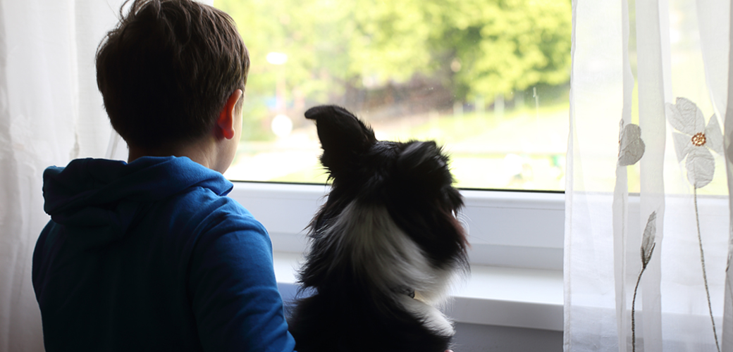 Child and dog staring out window