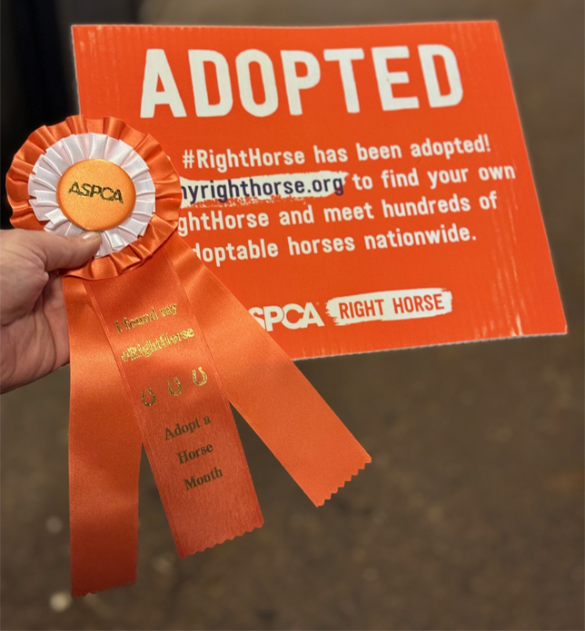 Ribbon for adopted horses