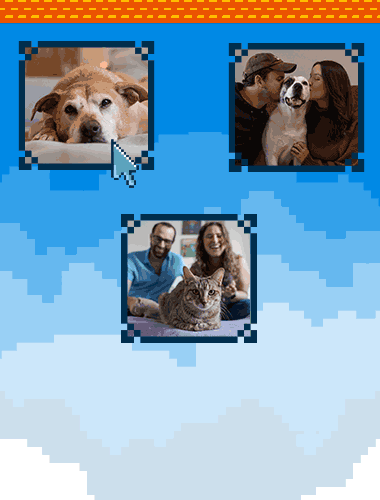 Photos of dogs and cats with their human friends