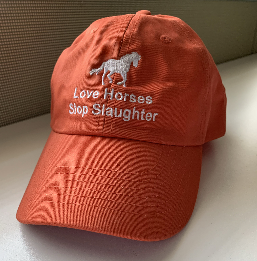 equine ambassador hat