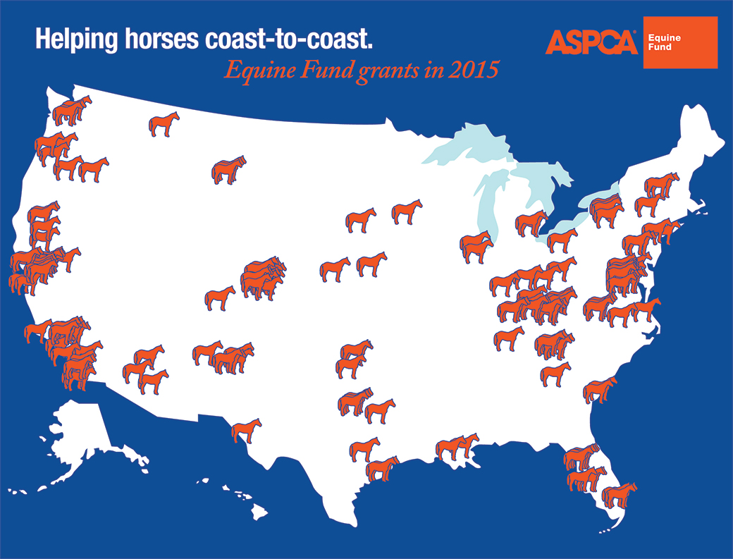 Exciting News for At-Risk Horses: The ASPCA Granted More than $1 Million to Equine Groups in 2015