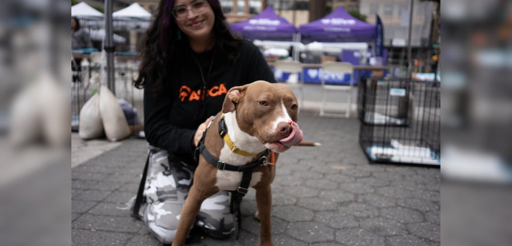 Kick Off Your Summer With These Fabulous Adoption Events! | ASPCA