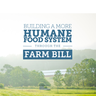 Farm Bill 101 document