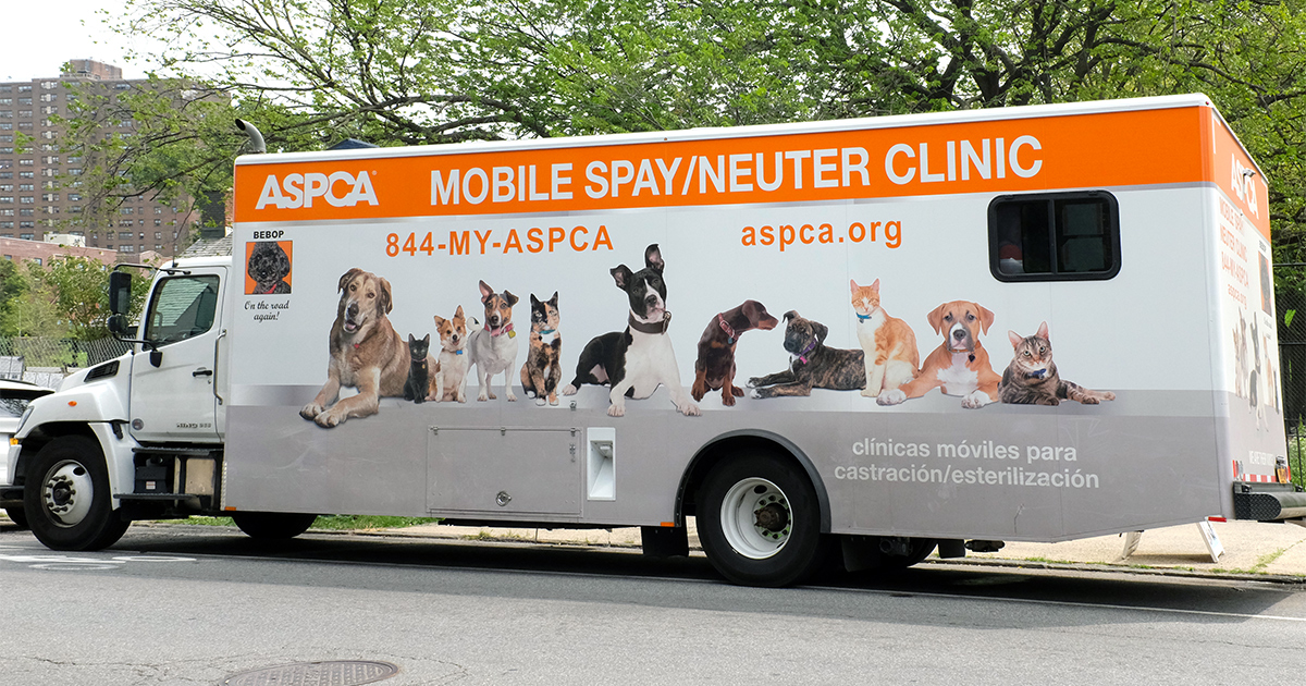 NYC Mobile Spay/Neuter Clinic 