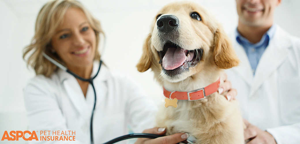 ASPCA® Pet Health Insurance | ASPCA