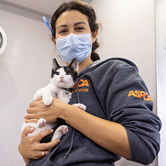 ASPCA Brooklyn Community Veterinary Clinic | ASPCA