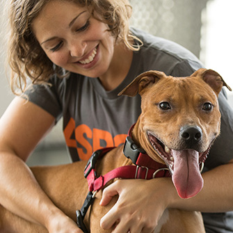 Adopt A Pet Dogs Cats Nyc Adoption Tips Aspca