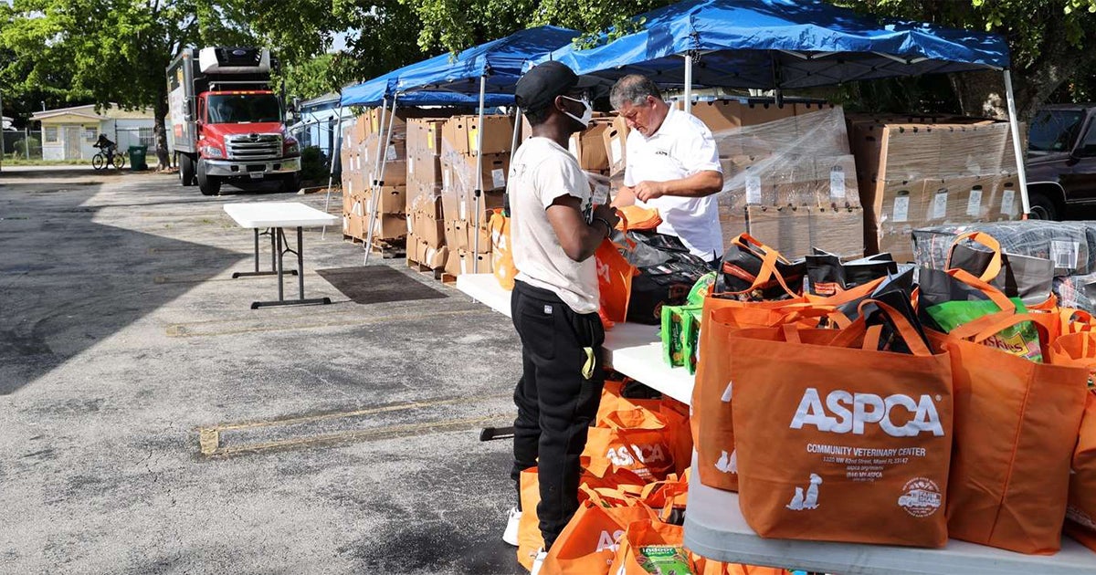 Matt’s Blog The Purpose and Power of Animal Welfare Grants ASPCA