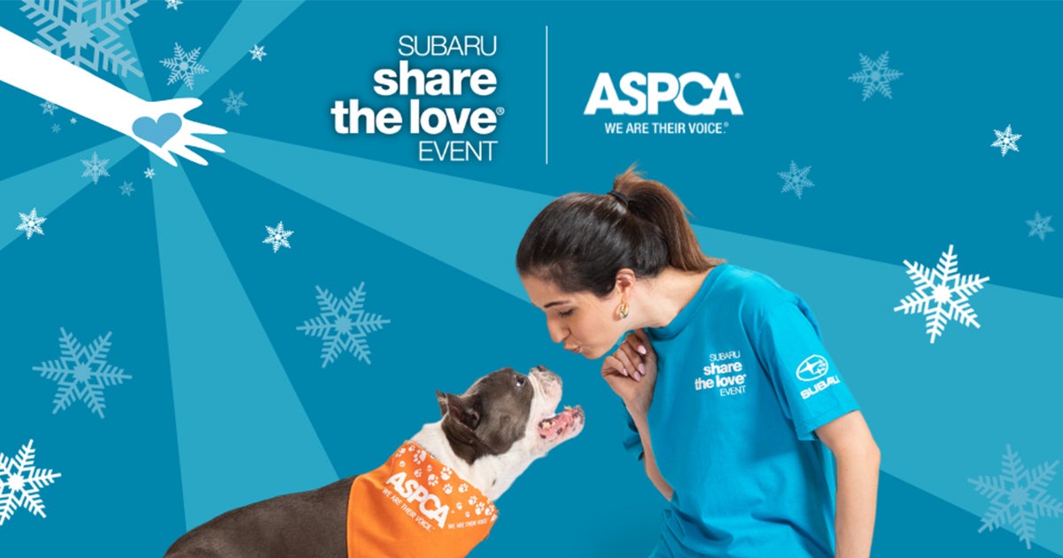 Aspca Events The 2022 Subaru Share the Love® Event Raises Over $2 Million for ...