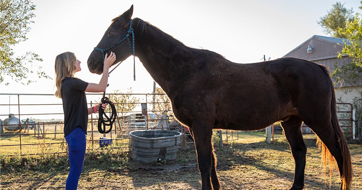 One Right Horse Opens a Whole New World for 12YearOld ASPCA