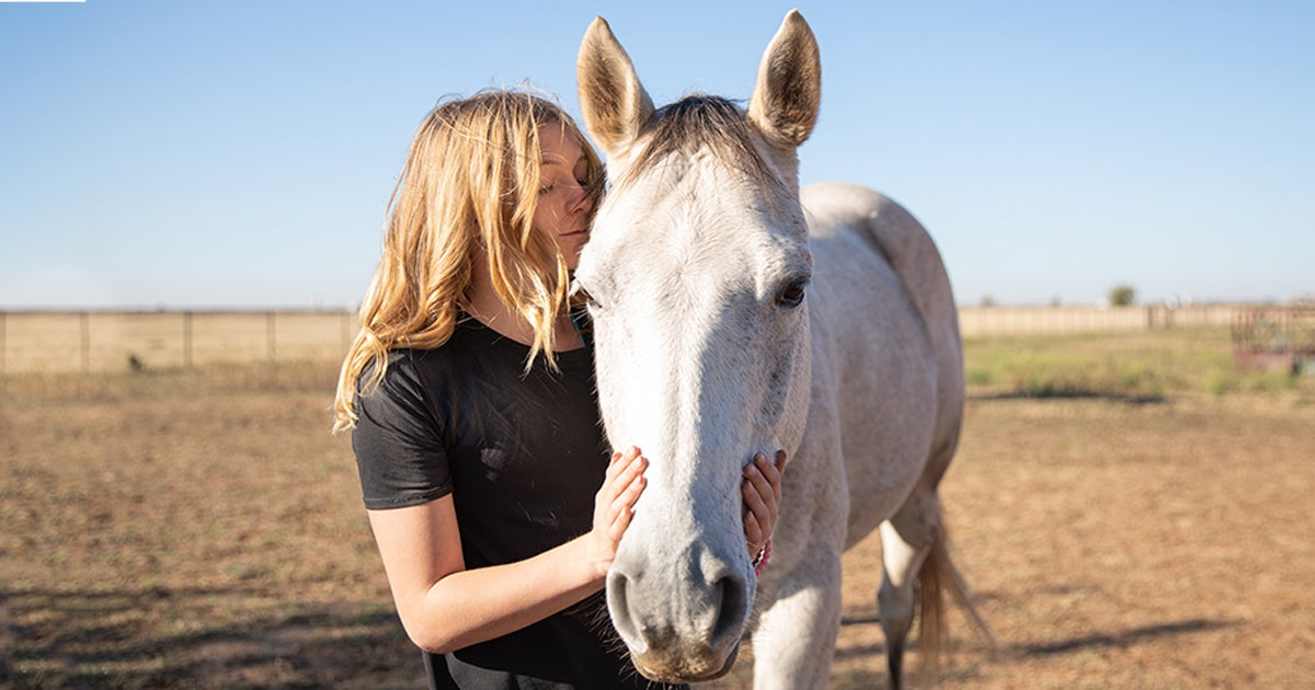 Matt’s Blog How Everyone Can Help Horses During Adopt a Horse Month