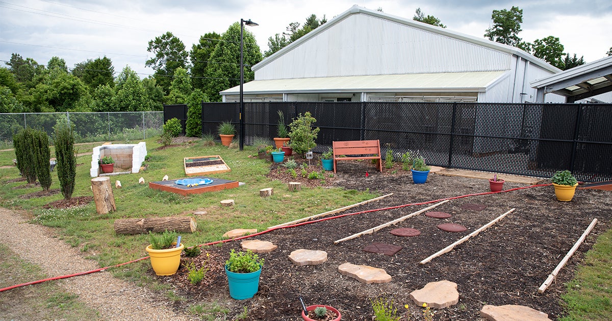 What Is a Sensory Garden and How Does It Help Fearful Dogs? ASPCA