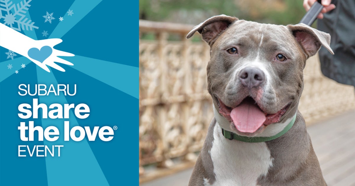 16 Years and Counting! The 2023 Subaru Share the Love® Event is Back to ...