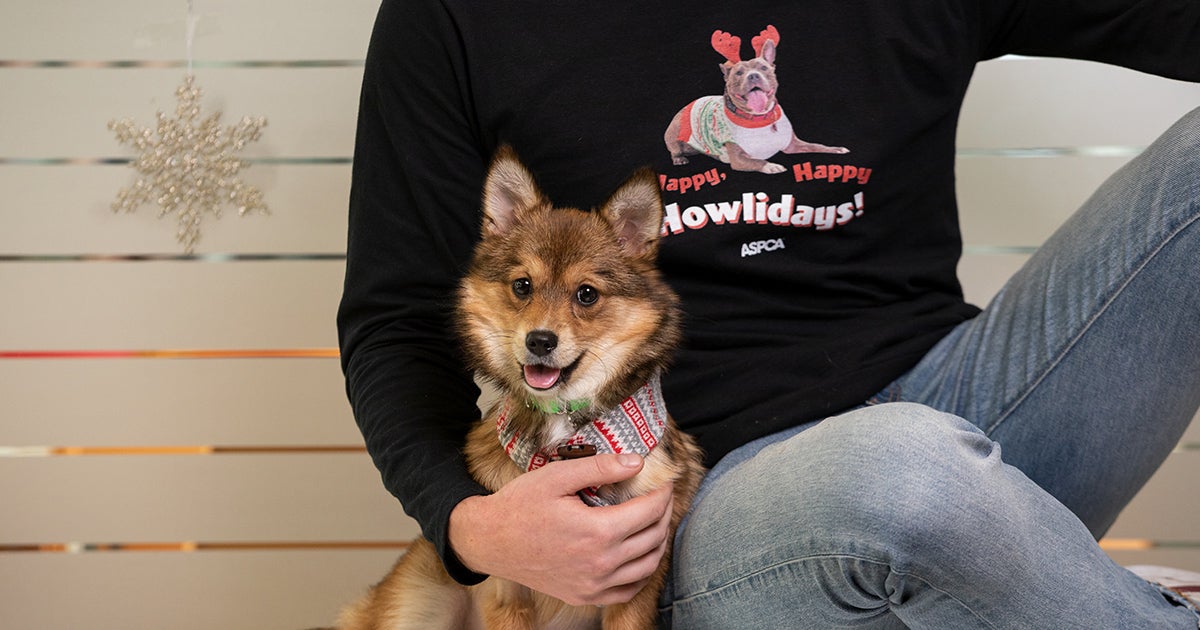 20231208_apcc_holiday_toxins_f