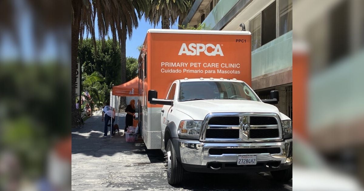 ASPCA Partners with People Assisting the Homeless and Long Beach Health & Human Services Department to Assist Pets of Individuals Experiencing Homelessness