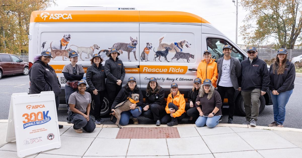 Milestone Transport: ASPCA Drivers Give the 300,000th Shelter Animal a ...