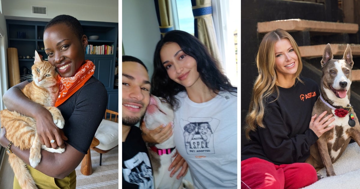 These Celebrities and Influencers Showed Their Support on ASPCA Giving Day to Help Improve the Lives of Animals