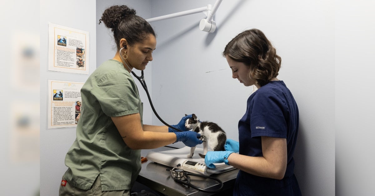 $14 Million Initiative Launched to Support LA Animal Services