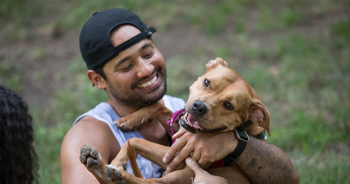 A Better Future for Animals: 2025’s Legislative Triumphs